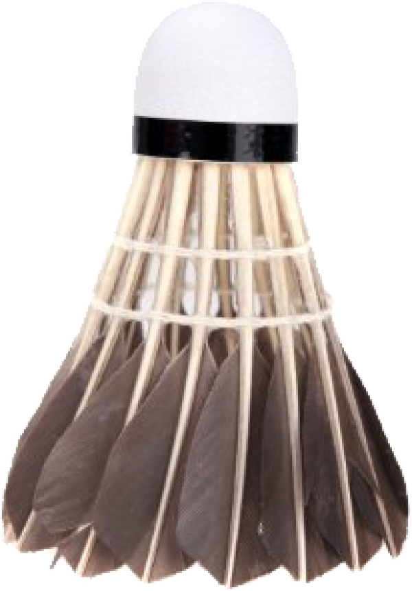 Badminton Chicken Hair Png - Regai Regail 12pcs Black Badminton Goose Feather Cork (600x862), Png Download