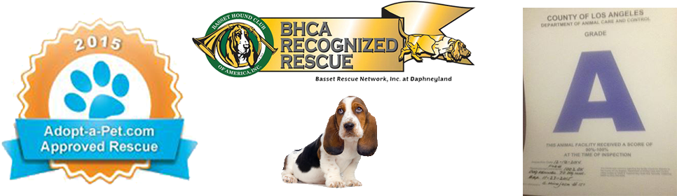 Homeslider5 - 2012 Calendars - Basset Hound Puppies [book] (980x300), Png Download