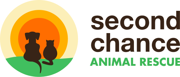2nd chance animal shelter