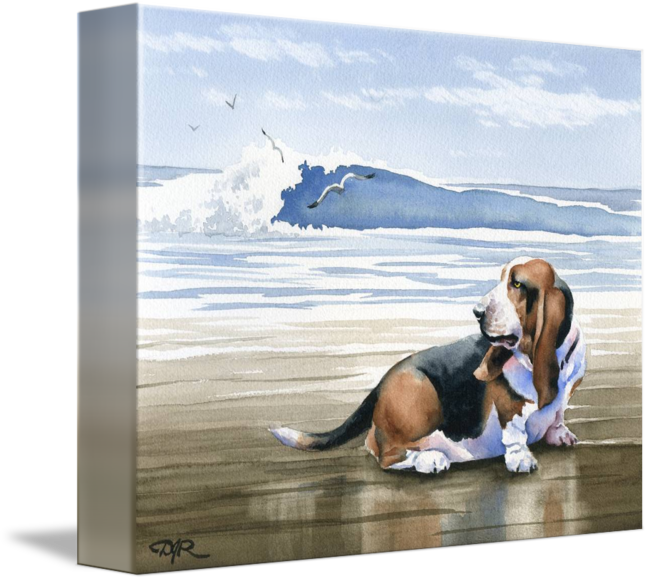 "basset Hound At The Beach" By David Rogers - Basset Hound (650x581), Png Download