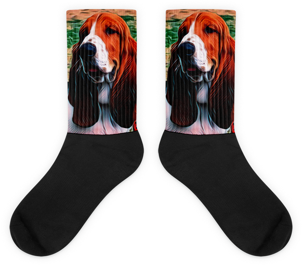 Basset Hound (1000x1000), Png Download