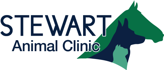 Stewart Animal Clinic (567x459), Png Download