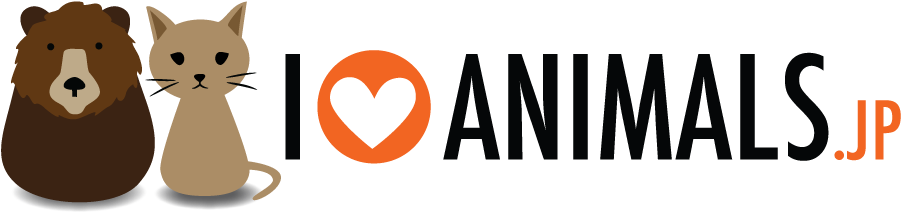 Header Image - Love Animals Transparent (921x251), Png Download