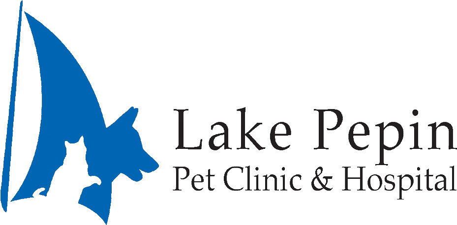 Logo (1000x570), Png Download