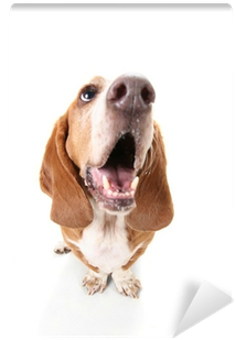 American Distribution & Mfg Co Dog Treats, Bacon, (400x400), Png Download