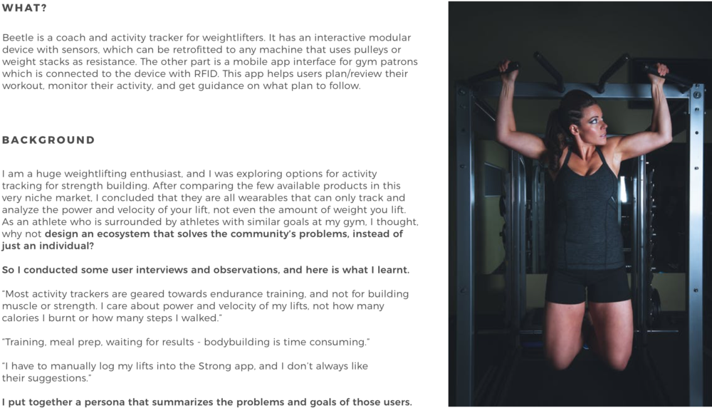 Beetle-what (1000x667), Png Download