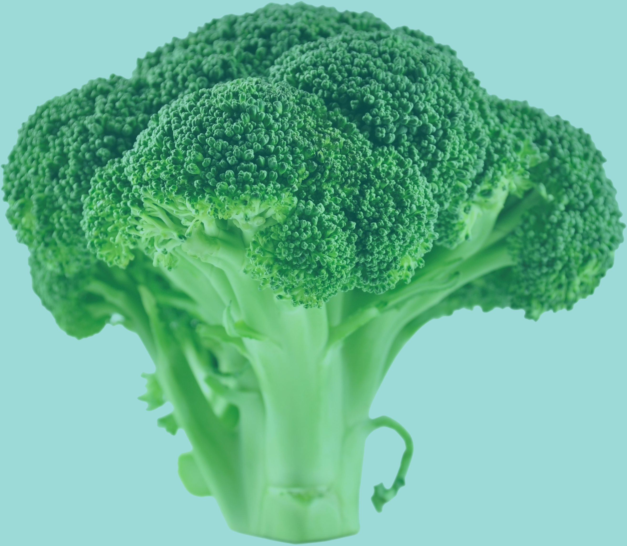 Brocoli Green Trans - Brocoli (2629x2286), Png Download