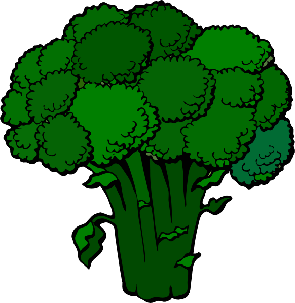 Broccoli Cliparts - Cartoon Images Of Broccoli (582x598), Png Download
