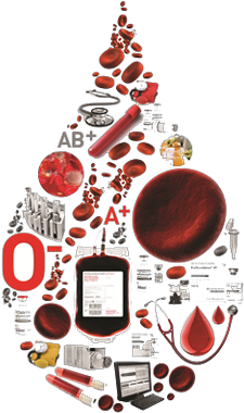 Blood Drop Image - Blood Product Png (287x459), Png Download