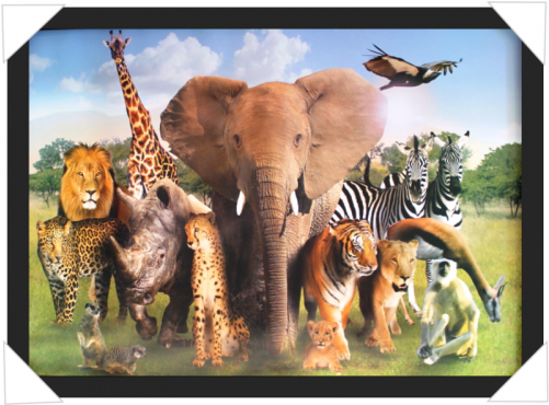 #181 - Group Of Wild Animals (500x500), Png Download
