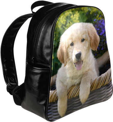 Cute Young Golden Retriever Dog Goldie Puppy Portrait - Tardis Police Box Open Multi Pocket Backpack Bag School (500x500), Png Download