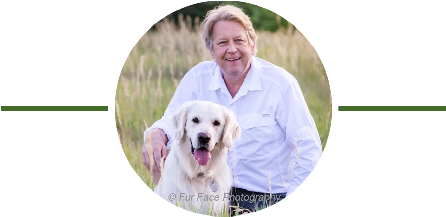 Snitker Goldens Therapy Dog Testimonial Bogey Suter - Therapy Dog (900x450), Png Download