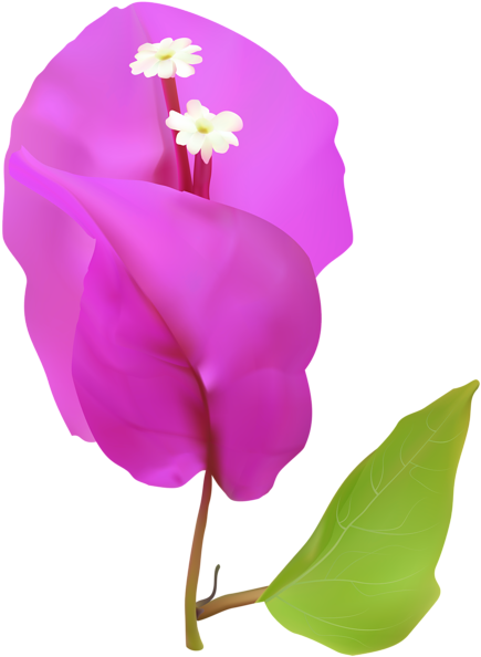0, - Clip Art (438x600), Png Download