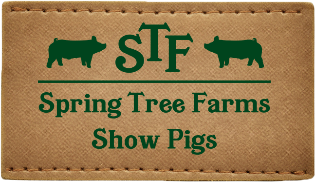 Portugal Cove-st. Philip's (693x452), Png Download