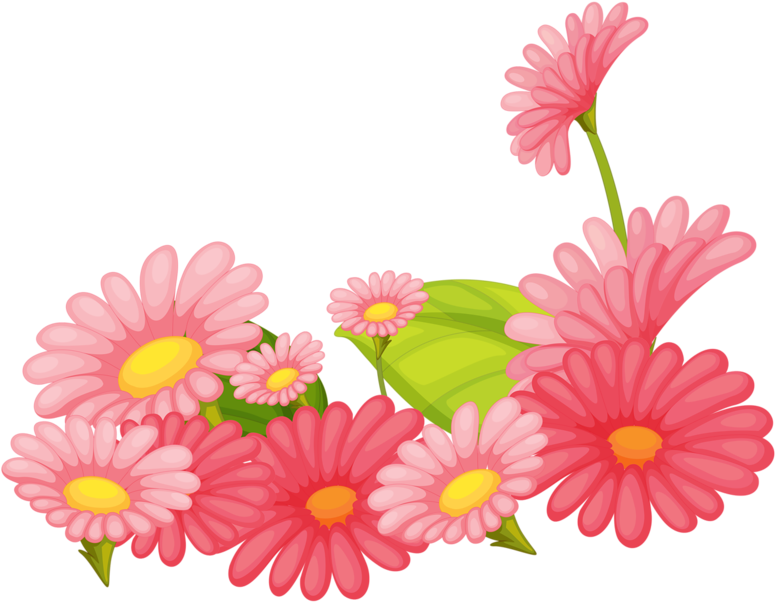 Pink Daisy - Clip Art (800x618), Png Download
