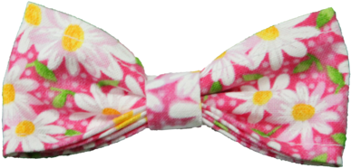 Paisley (600x400), Png Download