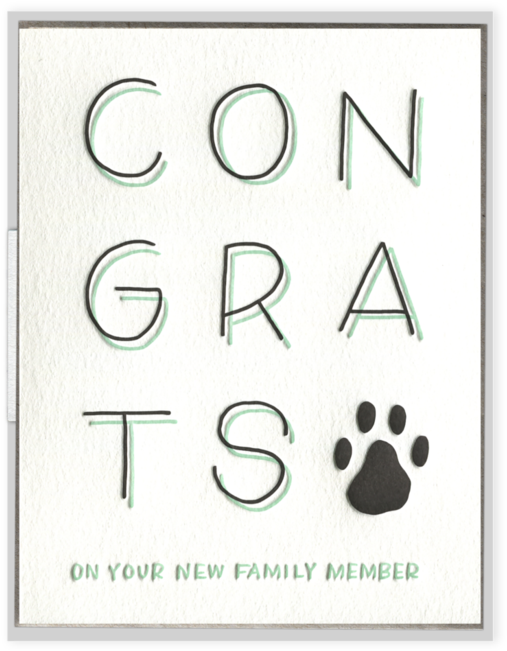 "congrats On Your New Family Member" Greeting Card - Greeting Card (700x700), Png Download
