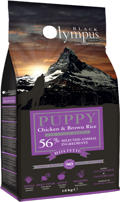 Chicken & Brown Rice - Unchanging And Unshakable [book] (1024x771), Png Download