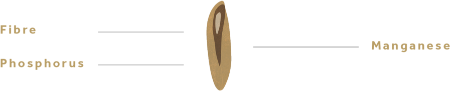 Brown Rice-01 - Brown Rice (1000x563), Png Download