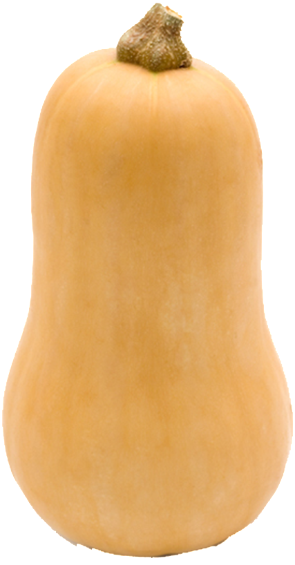Pumpkin Transparent Vegetables - Photograph (1024x1024), Png Download