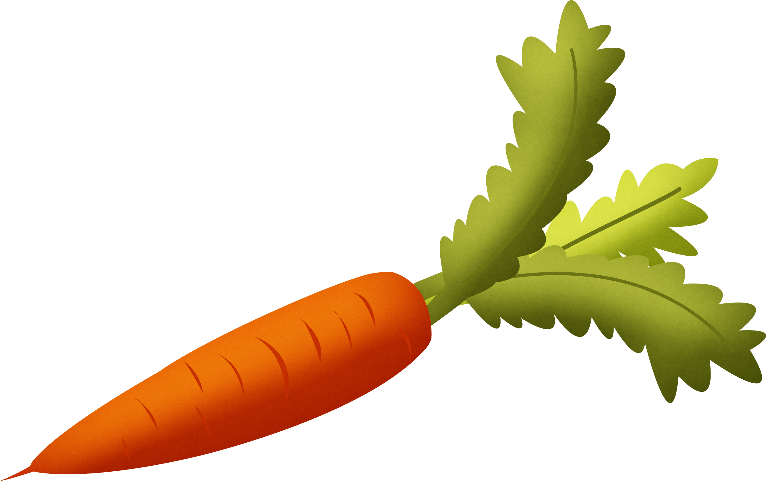 Carrot Clipart Transparent Background - Carrot Png (2542x1595), Png Download