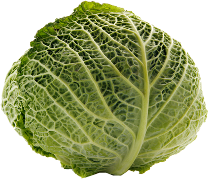 Cabbage Transparent Png - Cabbage (445x355), Png Download