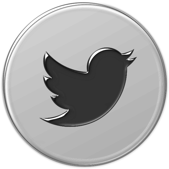 Logo Twitter Piccolo (770x770), Png Download