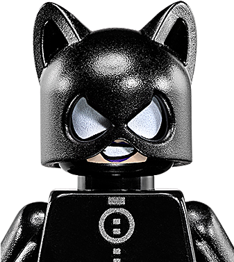 Catwoman - Catwoman Lego (336x448), Png Download