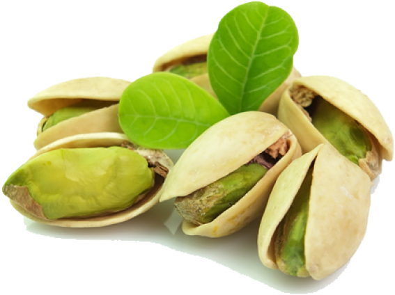 Pistachio Png Hd - Pistachio Png (610x358), Png Download