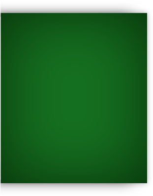 Green-panel - Tick (389x520), Png Download