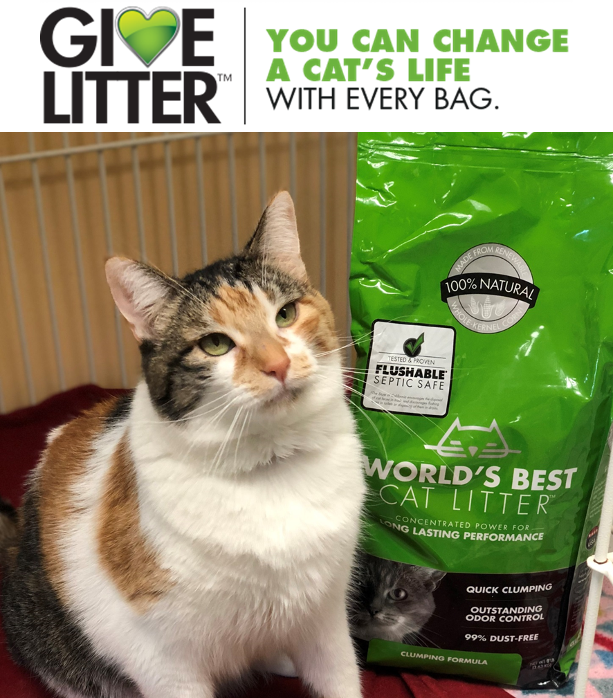 Ihs Receives 500-pound Donation From World's Best Cat - World's Best Cat Litter - Cat Litter Lavender - 7 Lbs. (886x1009), Png Download