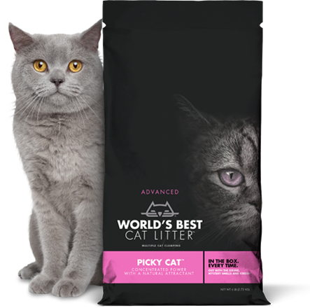 World's Best Cat Litter Picky Cat Litter - World's Best Cat Litter Picky Cat (443x440), Png Download