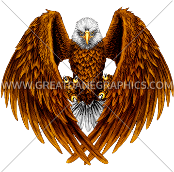 Outstreched Eagle - Cafepress Eagle2 Png Sticker Square Bumper Car Decal (385x353), Png Download