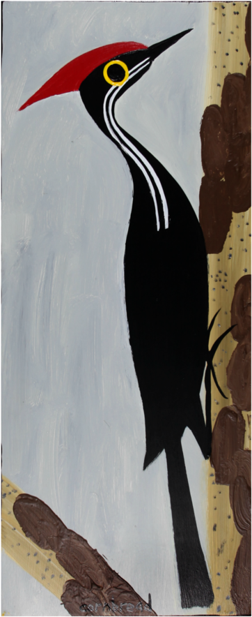 "pileated Woodpecker On A Dead Pine" Around Back At - Pileated Woodpecker (580x911), Png Download