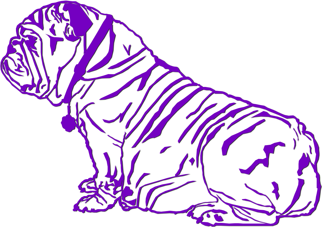 Daiquiri - Sold - Bengal Tiger (1052x730), Png Download
