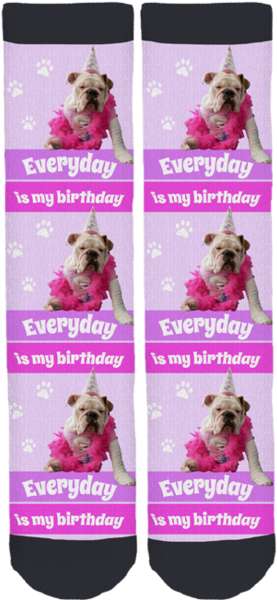 Cookie The English Bulldog "birthday" Socks - Sock (284x599), Png Download