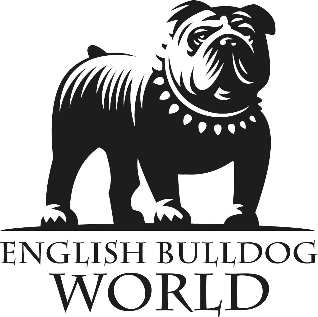 English Bulldog Logo (1022x1019), Png Download