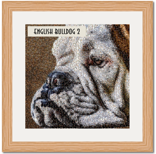 Unique English Bulldog Art Work Original Gifts Bespoke - Art (498x305), Png Download