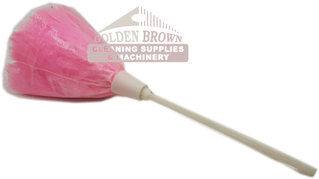 D3 Fd Feather Duster Small Sun A - Feather Duster (667x500), Png Download