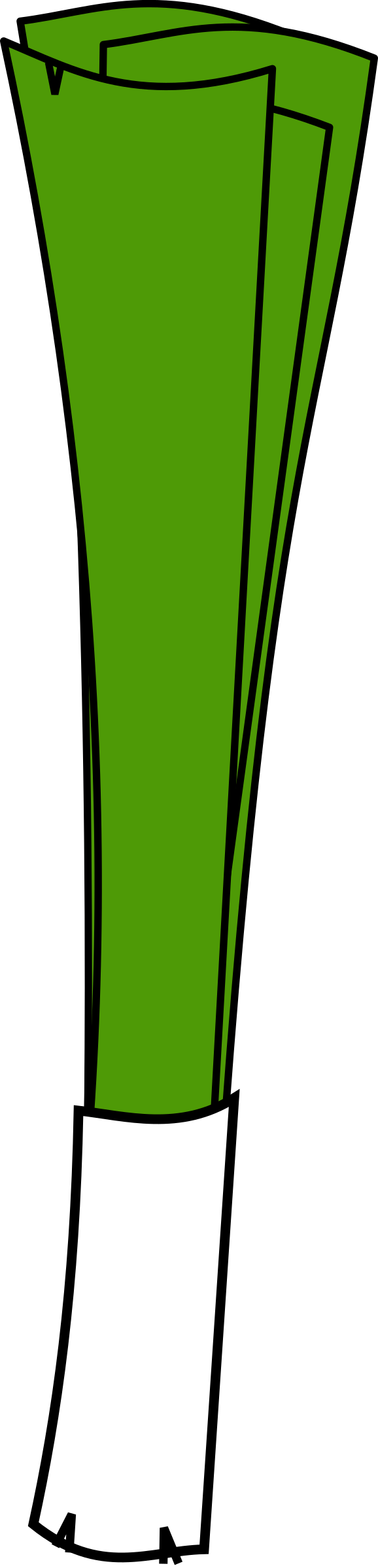 Leek Png (578x2400), Png Download