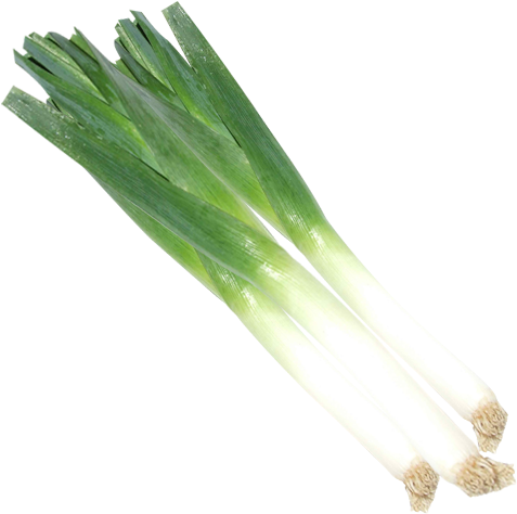 Onion Leeks - Leeks Png (500x500), Png Download