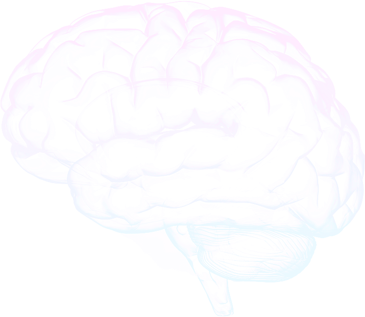 This Model Represents An Abstract Conceptual Model - Sketch (765x667), Png Download
