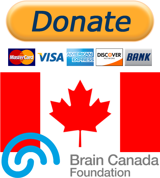 Donate Cdn - Montreal Canada Flag (532x650), Png Download