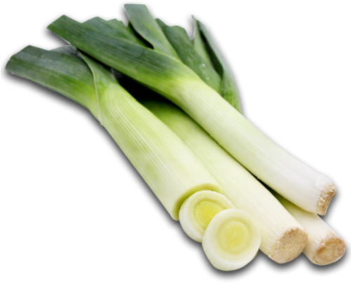 Leek (500x500), Png Download