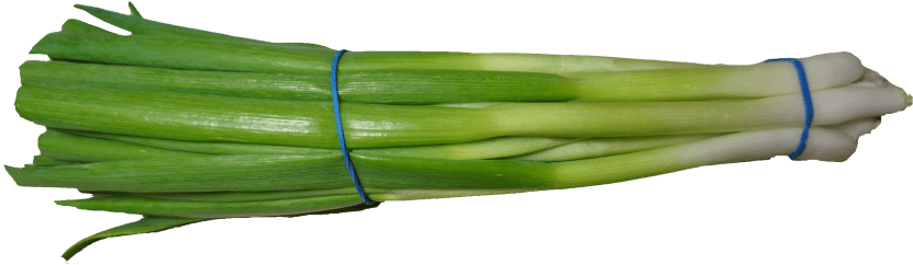 Free Png Scallion Green Onion Png Images Transparent - Scallion Png (850x251), Png Download