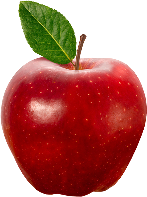 Posts That Make No Sense (600x695), Png Download