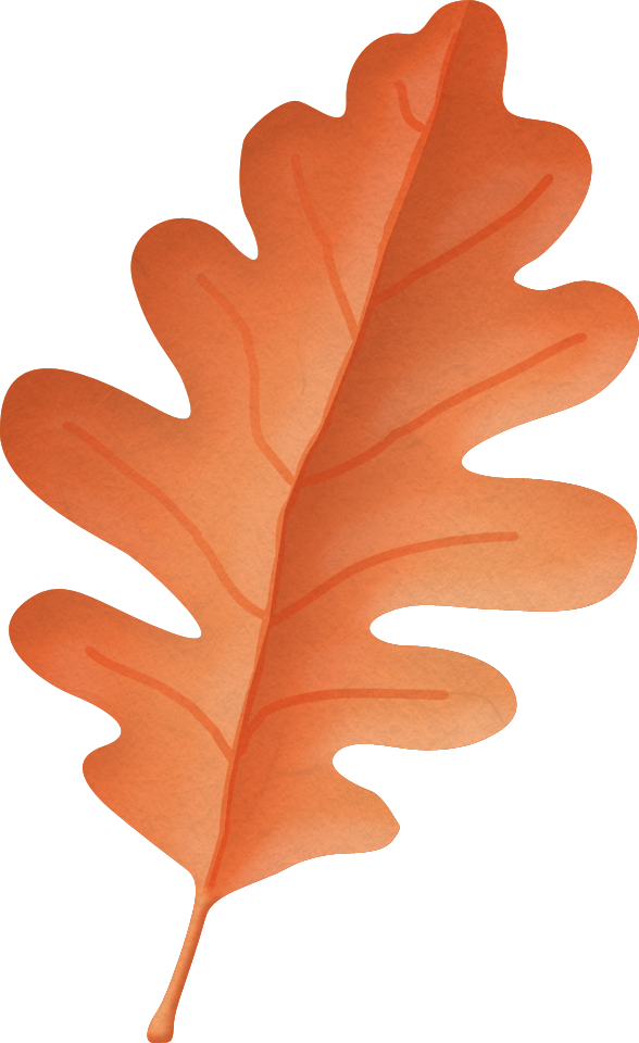 Фото, Автор Arana На Яндекс - Gambel Oak (588x960), Png Download