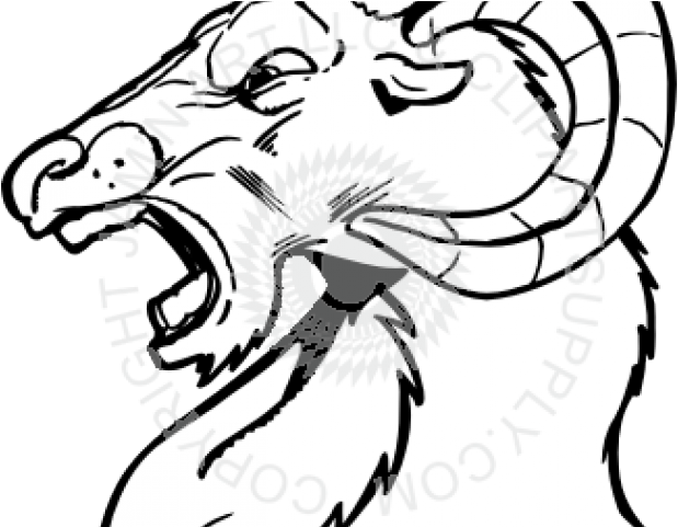 Ram Head Cliparts - Drawing (640x480), Png Download