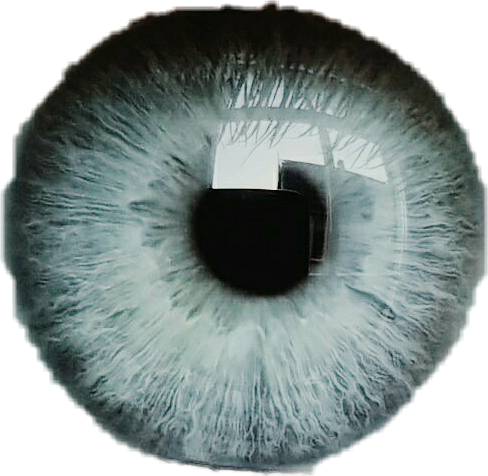 Ojo Pupila Azul Blue White Ojos - Ojos Negros Picsart Png (488x476), Png Download