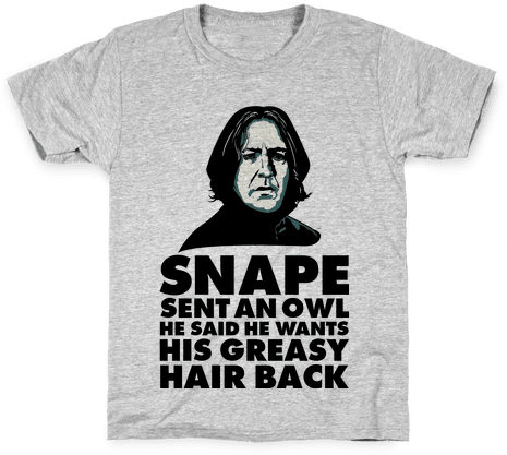 Snape Sent An Owl He Said He Wants His Greasy Hair - Corbyn T Shirt (484x484), Png Download